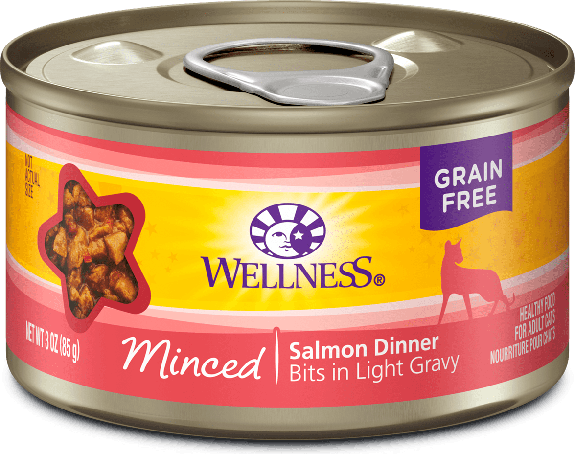 Wellness Complete Health Minced Salmon Dinner Salmon Dinner